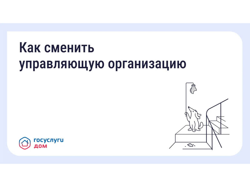 Что делать, если вы недовольны работой управляющей организации (УО).